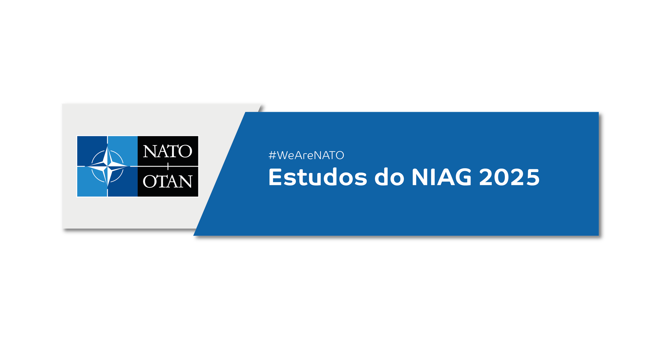 Estudos NIAG 2025 SD_Prancheta 1